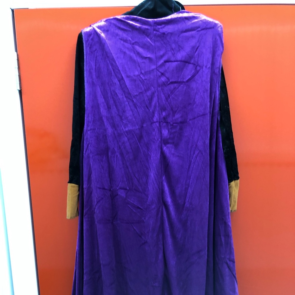 Frozen 2 Anna Women’s Costume Size Small - Picture 9 of 15
